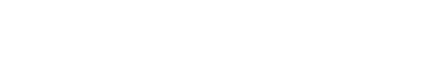 Logo Basel Neurocircuits